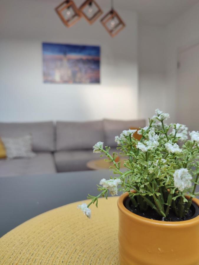 Apartman Ns Dan Private Parking Novi Sad Exterior foto